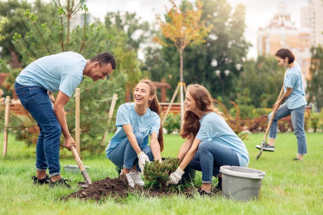 Corporate Volunteers planting a tree AS_299705711