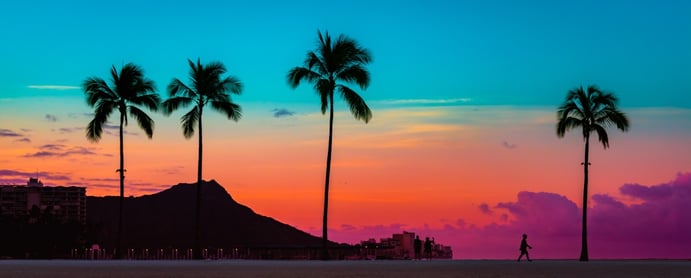 Palm trees with Hawaiian Sunset_AdobeStock_272038968-1