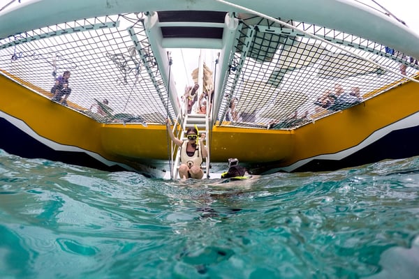 person getting into water to snorkel