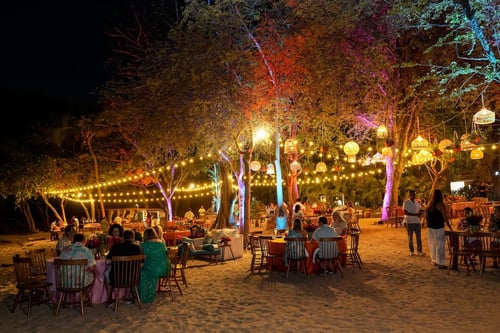 outdoor incentive event among trees with lights