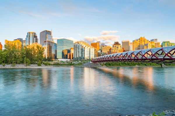 peace bridge calgary_229627895