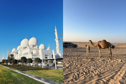 undefined-Mar-02-2026-04-08-15-7173-PM