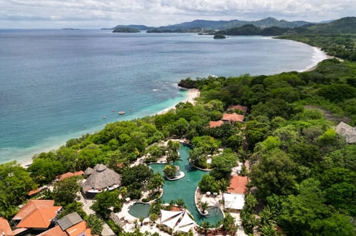 Coastal view with lush green trees