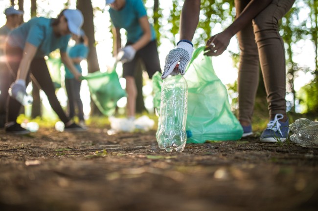 several volunteers pick up trash in the woods